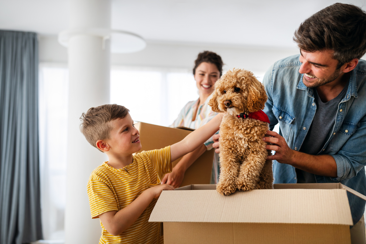 happy family moving with pet dog